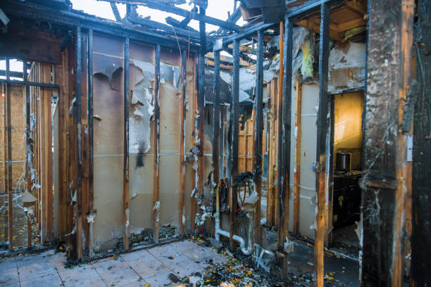 Professional Odor Removal technician working in Lacon, IL